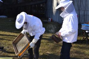 Ein Frühjahrsbesuch bei den Bienen